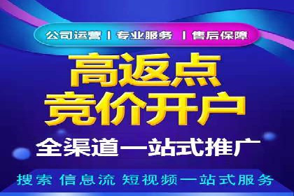 百度企业级服务推广的全面解决方案